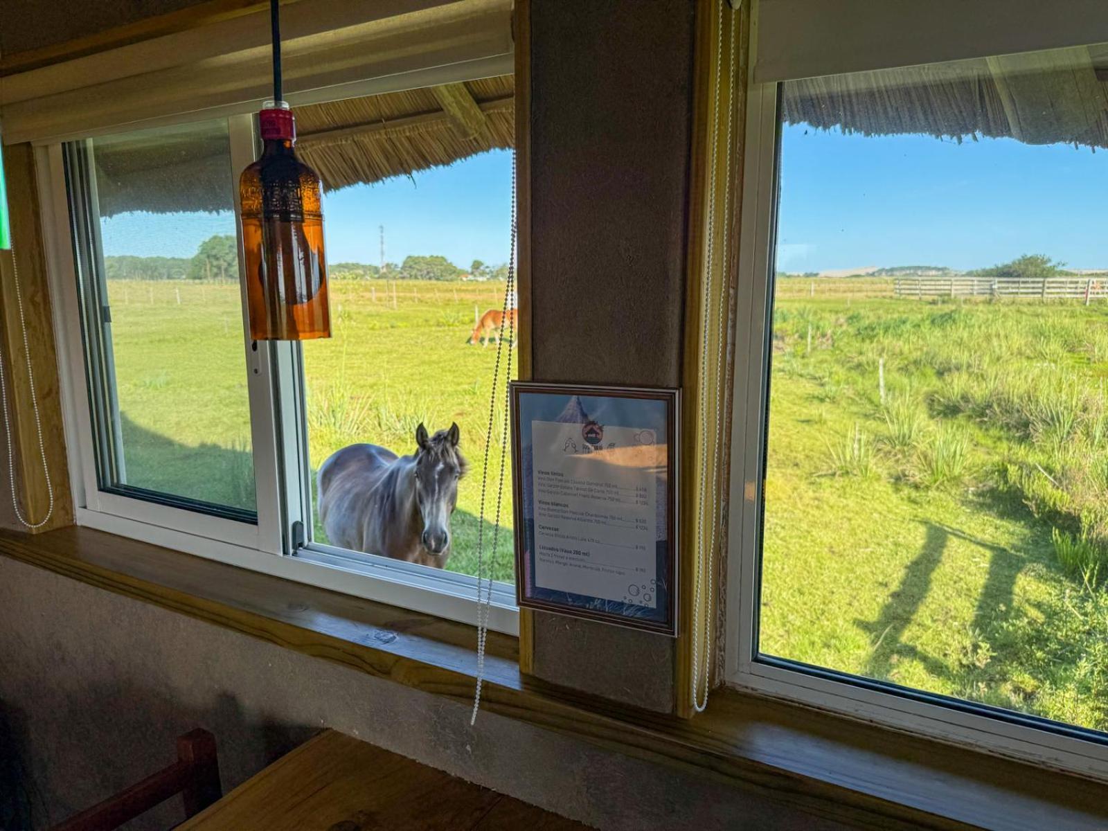 Los Chaja Ecolodge Барра-де-Валисас Экстерьер фото